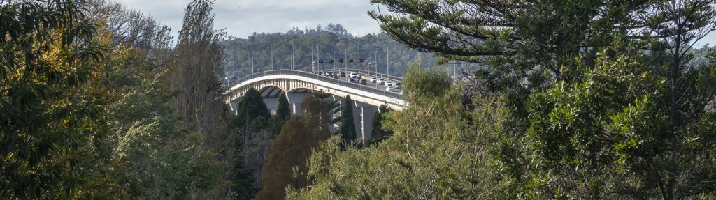 The Tasman Bridge from the Botanic Gardens